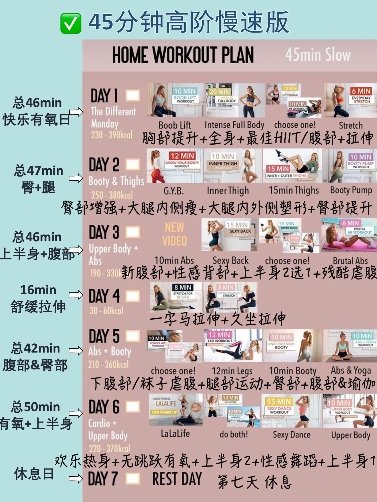 萨布丽娜(图1)
